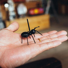 Charger l&#39;image dans la galerie, FOOD PIRATE ANTS | 12 Pcs/Set